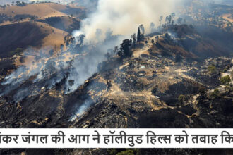 भयंकर जंगल की आग ने हॉलीवुड हिल्स को तबाह किया
