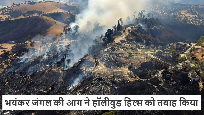 भयंकर जंगल की आग ने हॉलीवुड हिल्स को तबाह किया