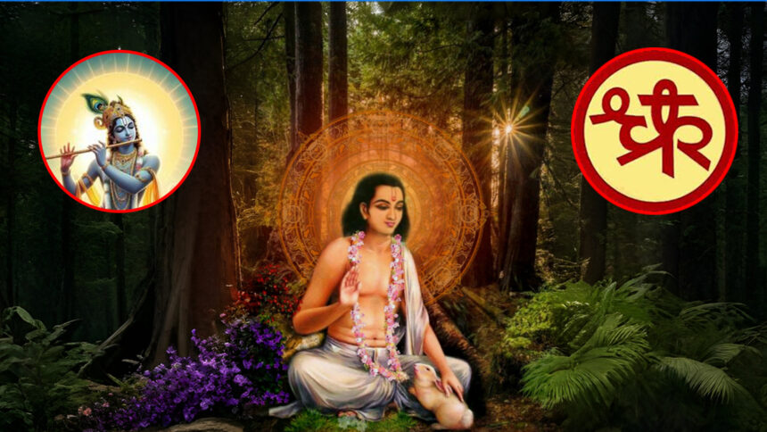 श्री सर्वज्ञ चक्रधर स्वामी